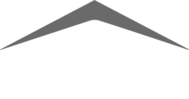 Dana logo